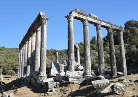 Temple of Zeus in Euromos