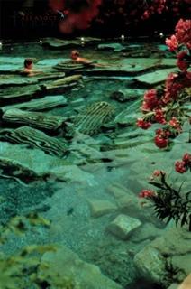 Antica piscina termale a Pamukkale